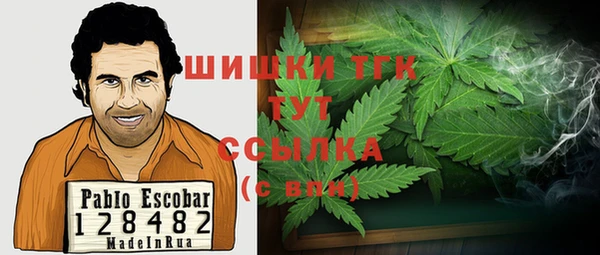эйфоретик Балахна